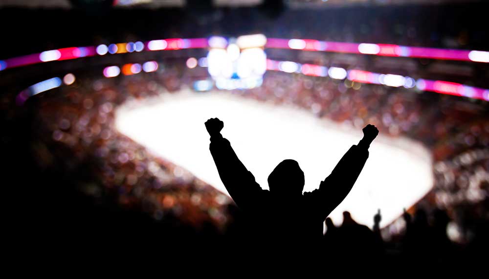 crowd at a hockey arena