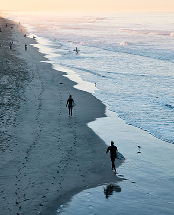 Surfers on beach