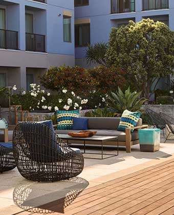 the Deck